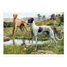 Galgo Postales