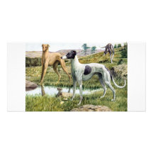 Galgo Tarjetas Con Fotos Personalizadas