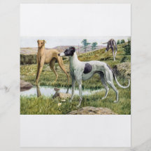 Galgo Tarjetón