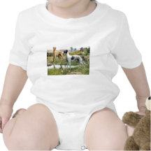 Galgo Trajes De Bebé