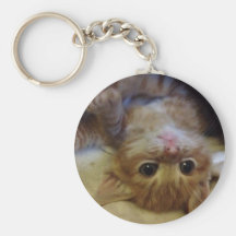 Galleta el llavero/el llavero del gatito