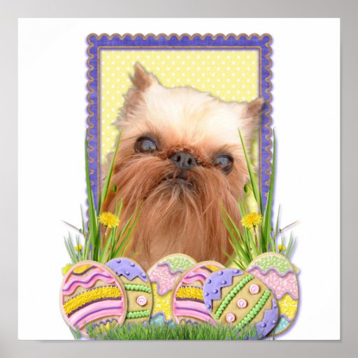 Galletas del huevo de Pascua - Bruselas Griffon Posters