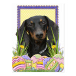 Galletas del huevo de Pascua - Dachshund Postal