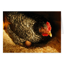 Gallina de la madre tarjetón