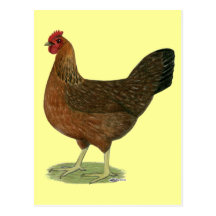 Gallina de Welsummer Tarjeta Postal