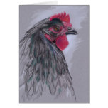Gallina negra de Australorp Felicitacion