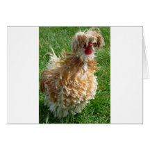 gallina tarjetón