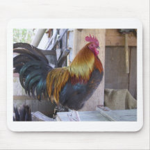 gallo alfombrillas de ratones