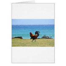 Gallo de Kauai Felicitaciones