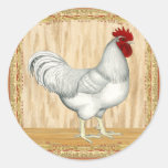 Gallo de oro del Sexo-vínculo Pegatina