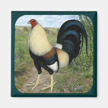 Gallo de pelea de la carretera nacional imán de frigorífico