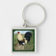 Gallo de pelea de la carretera nacional llaveros personalizados