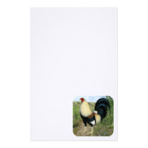Gallo de pelea de la carretera nacional papelería personalizada