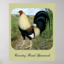 Gallo de pelea de la carretera nacional posters