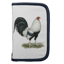 Gallo de pelea de plata de Duckwing Planificadores