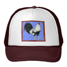 Gallo de pelea enmarcado gorra