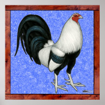 Gallo de pelea enmarcado poster