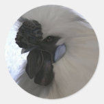 Gallo de Silkie Pegatinas Redondas
