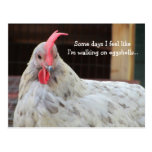 Gallo divertido con decir tarjeta postal