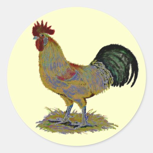 Gallo:  Estilo libre Etiquetas