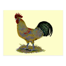 Gallo:  Estilo libre Postales