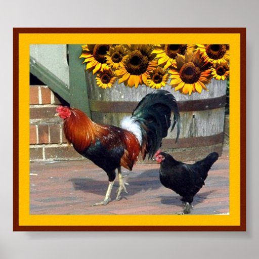 Gallo Impresiones