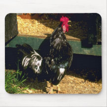 Gallo Tapete De Ratón