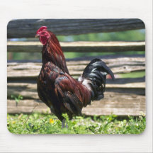 Gallo Tapete De Raton