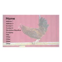 Gallo Tarjetas De Visita