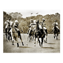 Galope de los caballos del polo tarjetas postales