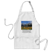 Gama de Teton magnífica nevada con las flores amar Delantal