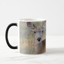 Gama del ciervo mula taza de café