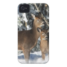 Gama un ciervo iPhone 4 Case-Mate cárcasa