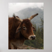 Ganado del borde de la carretera poster