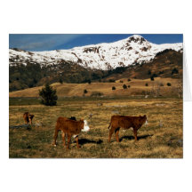 Ganado en Kodiak Felicitacion