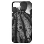 Ganador de InstagramAZ iPhone 5 Case-Mate Cobertura