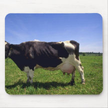 Ganados lecheros de Holstein Alfombrilla De Ratón