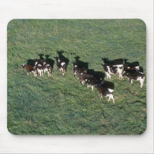 Ganados lecheros de Holstein Tapetes De Raton
