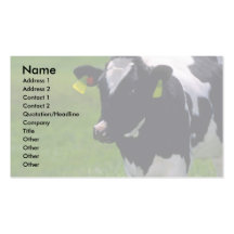 Ganados lecheros de Holstein Tarjeta De Visita