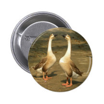 Gänse Anstecknadelbutton