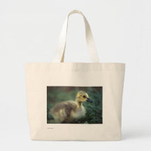 Ganso Bolsa Lienzo