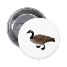 Ganso de Canadá Pin