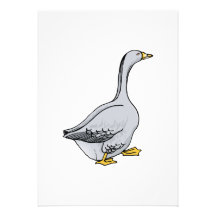 Ganso gris comunicados personales 
