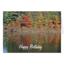 Gansos de Canadá en tarjeta de cumpleaños de la na