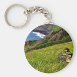 Gansos hawaianos - Nene Llavero Personalizado