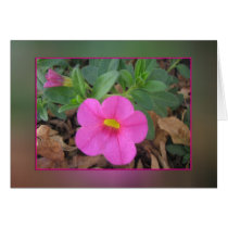 Garden de mi tía tarjetas
