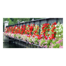 gardenbridge01 tarjetas fotograficas 