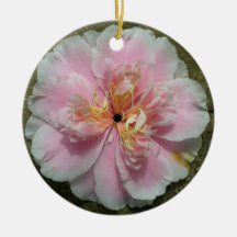 Gardenia rosado ornamentos de reyes magos