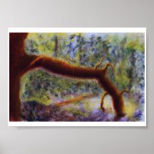Garganta de Elora, poster