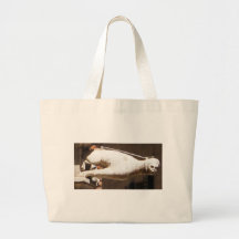 Gargoyle que se agacha - circa 1340 bolsas lienzo